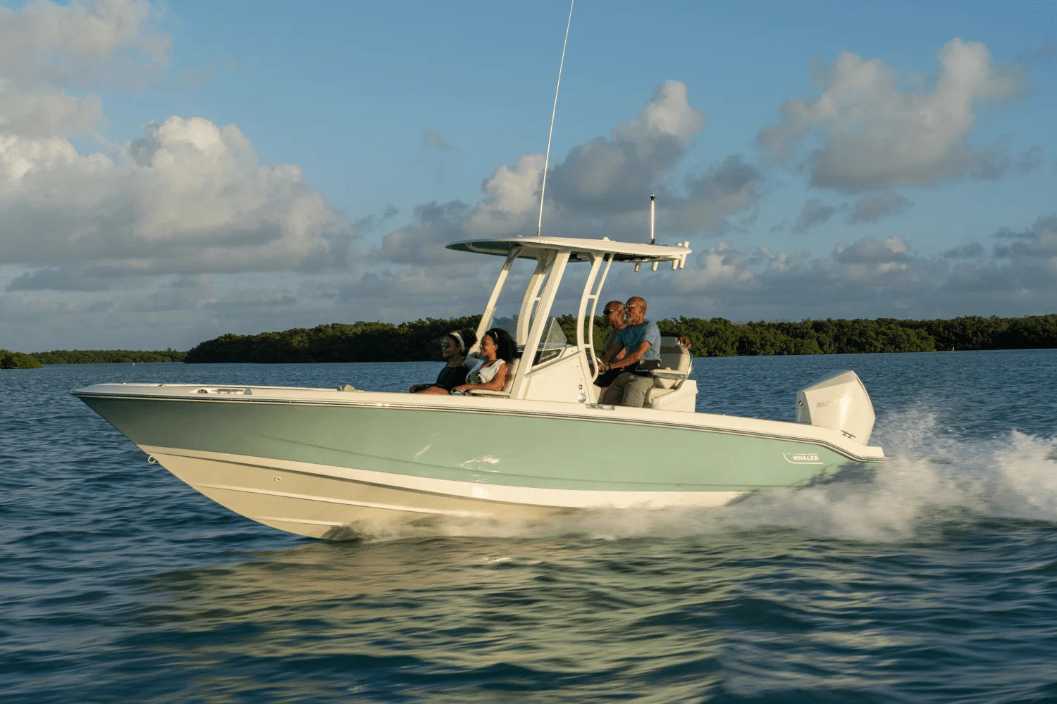 2026 Boston Whaler 250 Dauntless Image Thumbnail #40