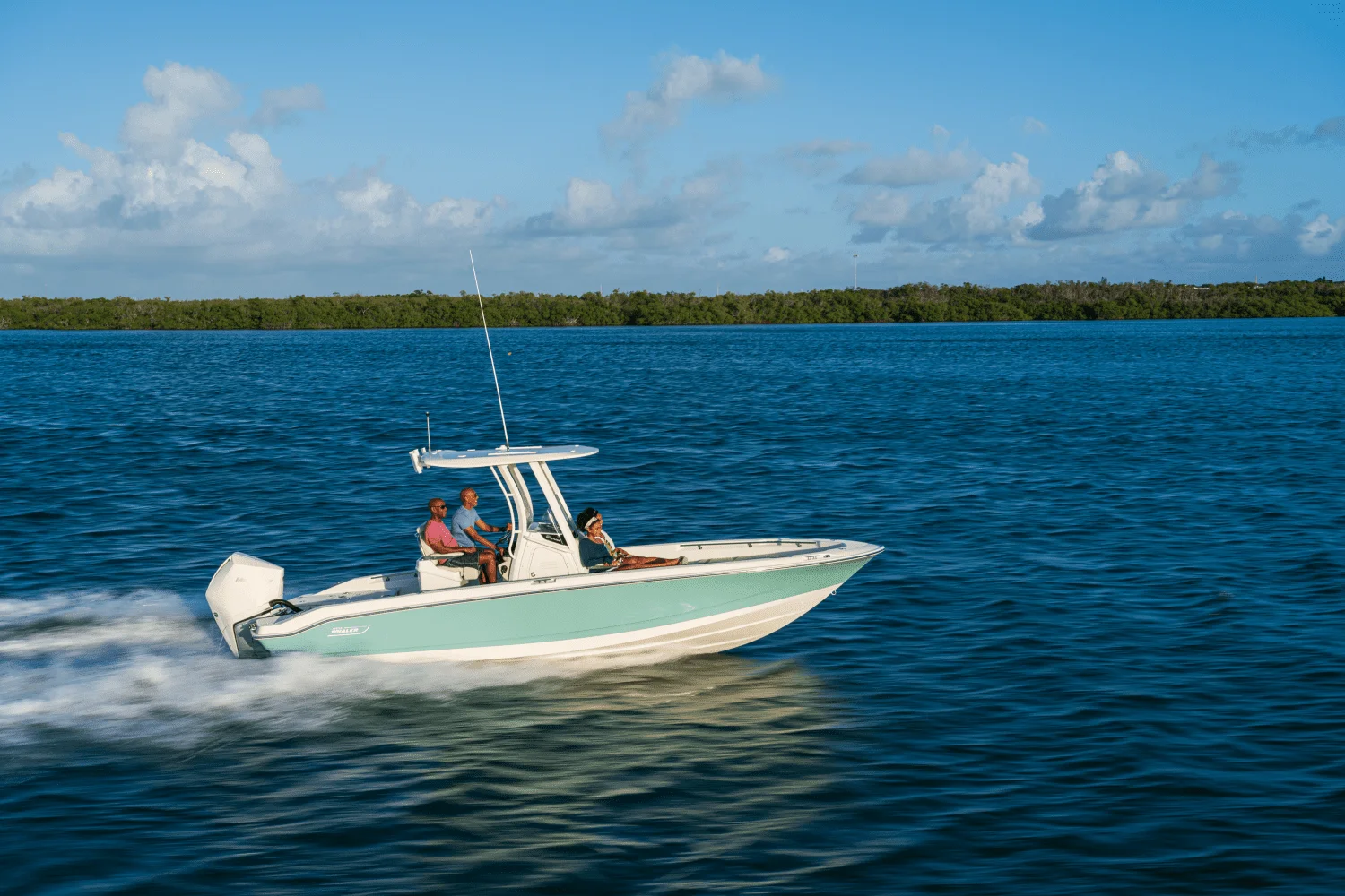 2024 Boston Whaler 250 Dauntless Image Thumbnail #26