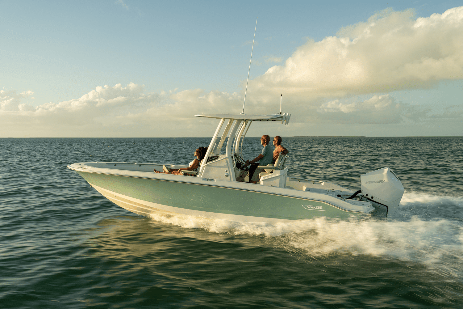 2026 Boston Whaler 250 Dauntless Image Thumbnail #35
