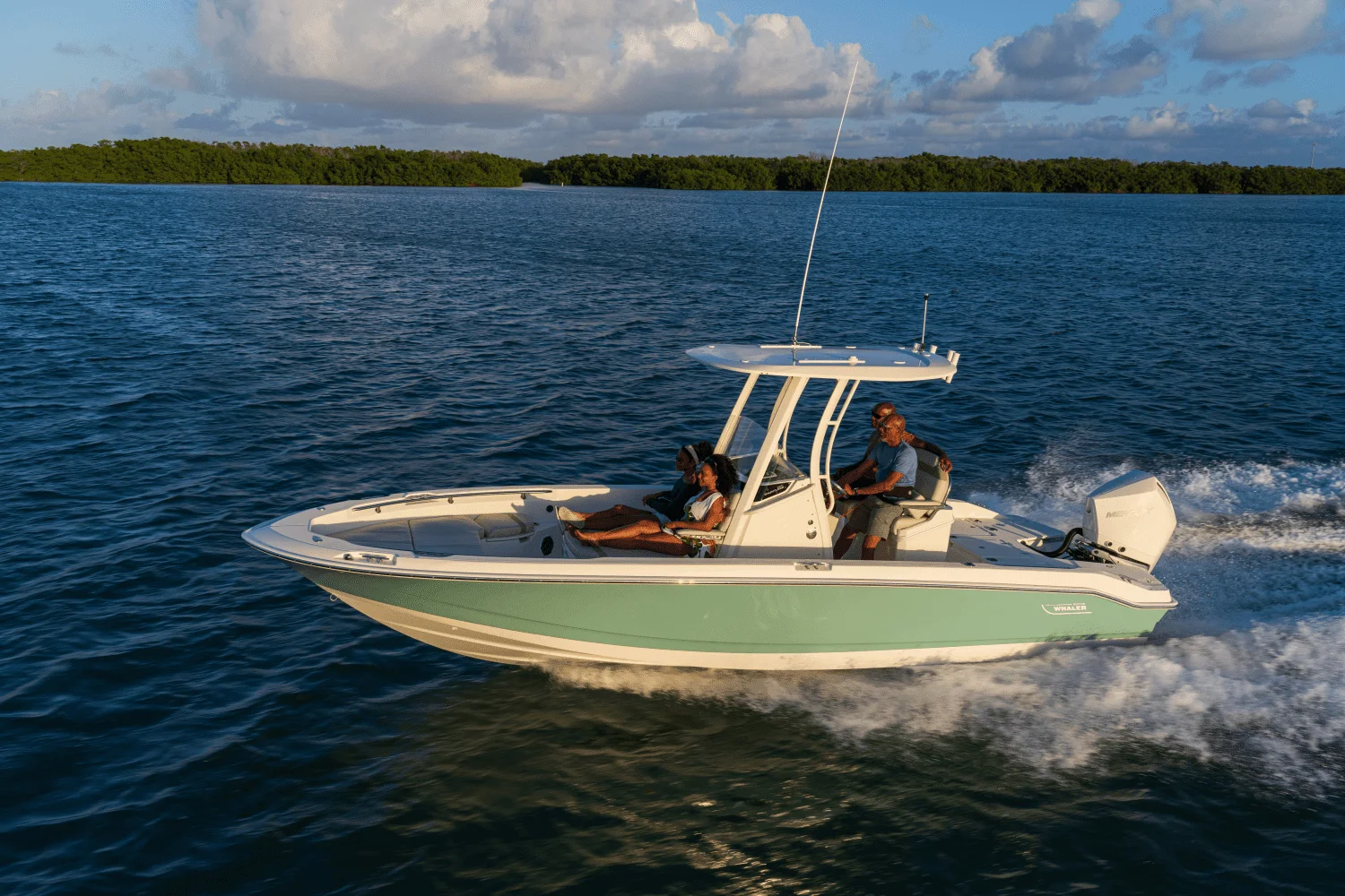 2024 Boston Whaler 250 Dauntless Image Thumbnail #27