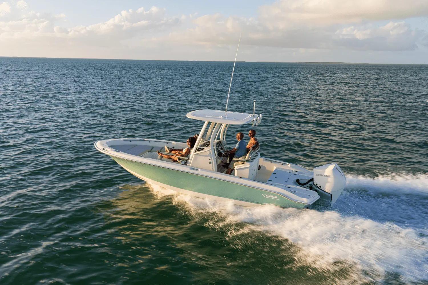 2025 Boston Whaler 250 Dauntless Image Thumbnail #52