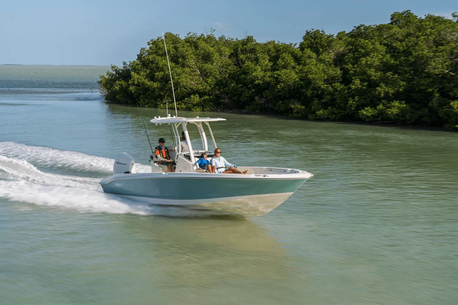 2025 Boston Whaler 250 Dauntless Image Thumbnail #51