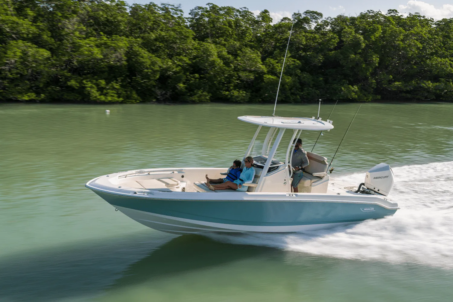 2025 Boston Whaler 250 Dauntless Image Thumbnail #63