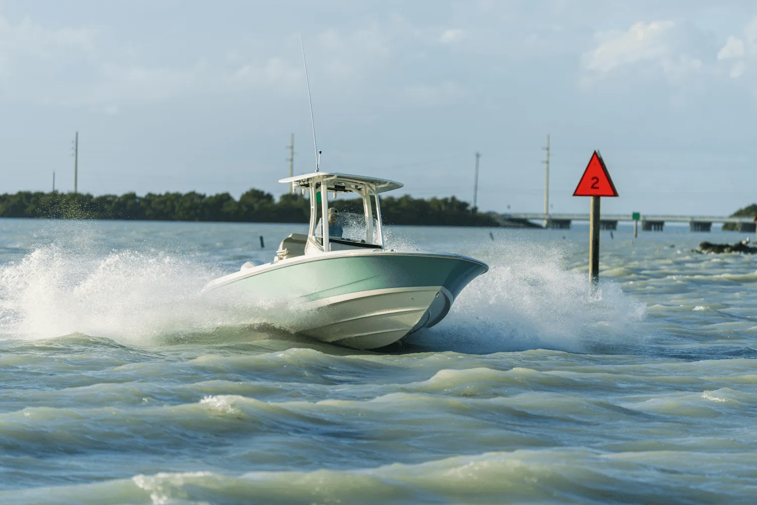 2025 Boston Whaler 250 Dauntless Image Thumbnail #74
