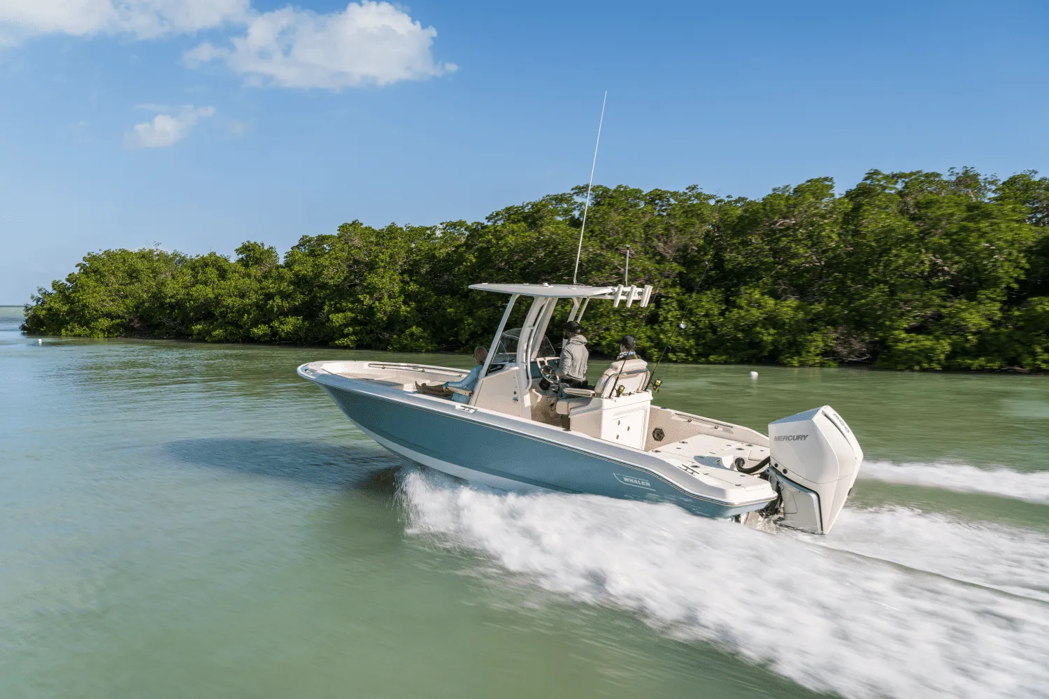 2025 Boston Whaler 250 Dauntless Image Thumbnail #66