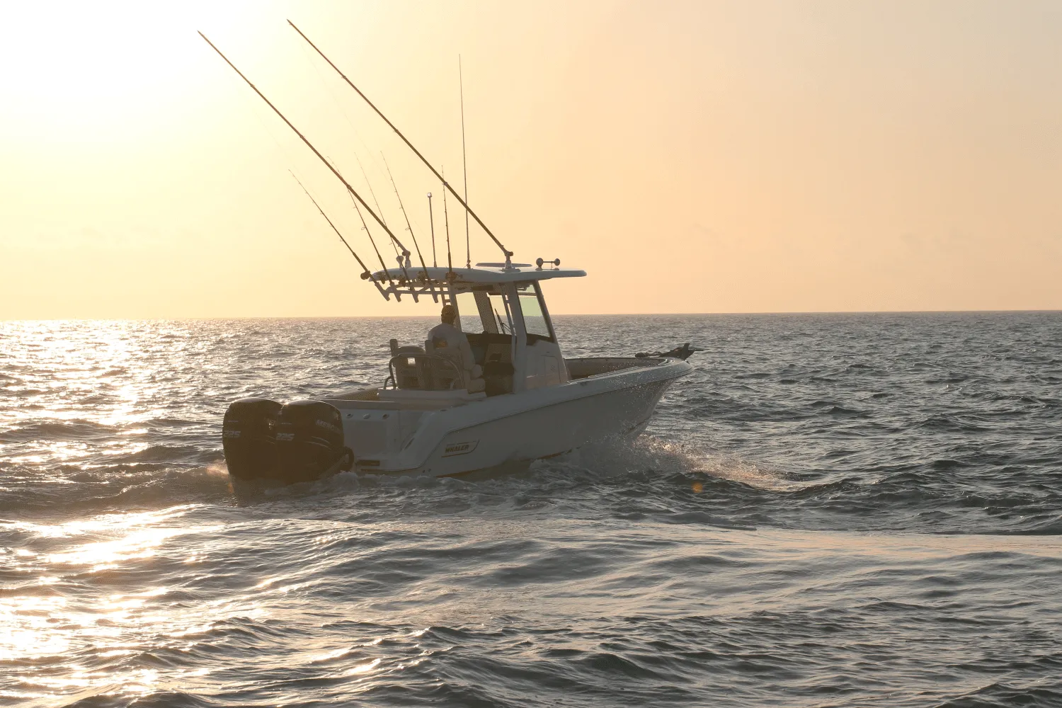 2026 Boston Whaler 250 Outrage Image Thumbnail #15