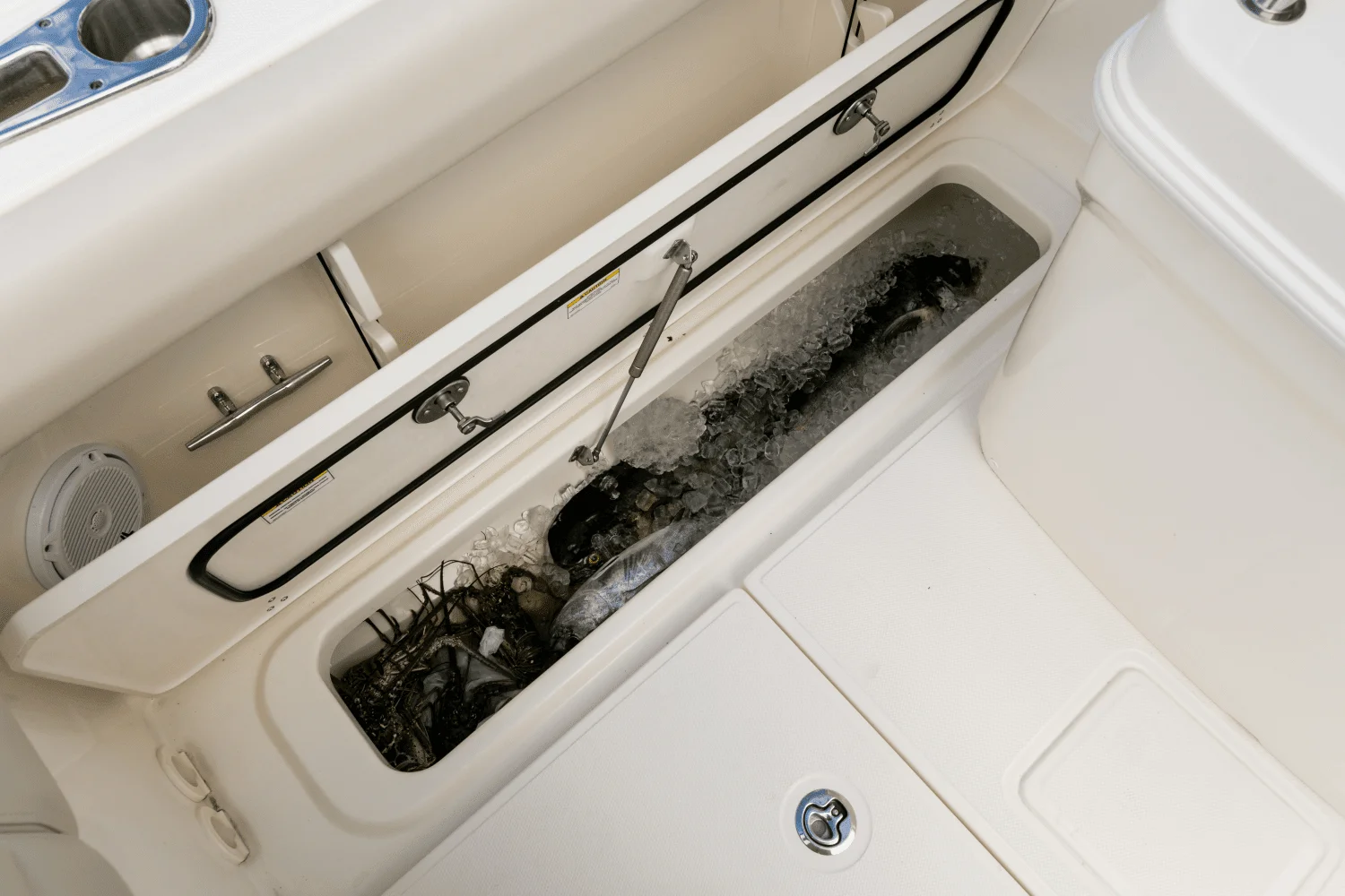 2026 Boston Whaler 250 Outrage Image Thumbnail #84