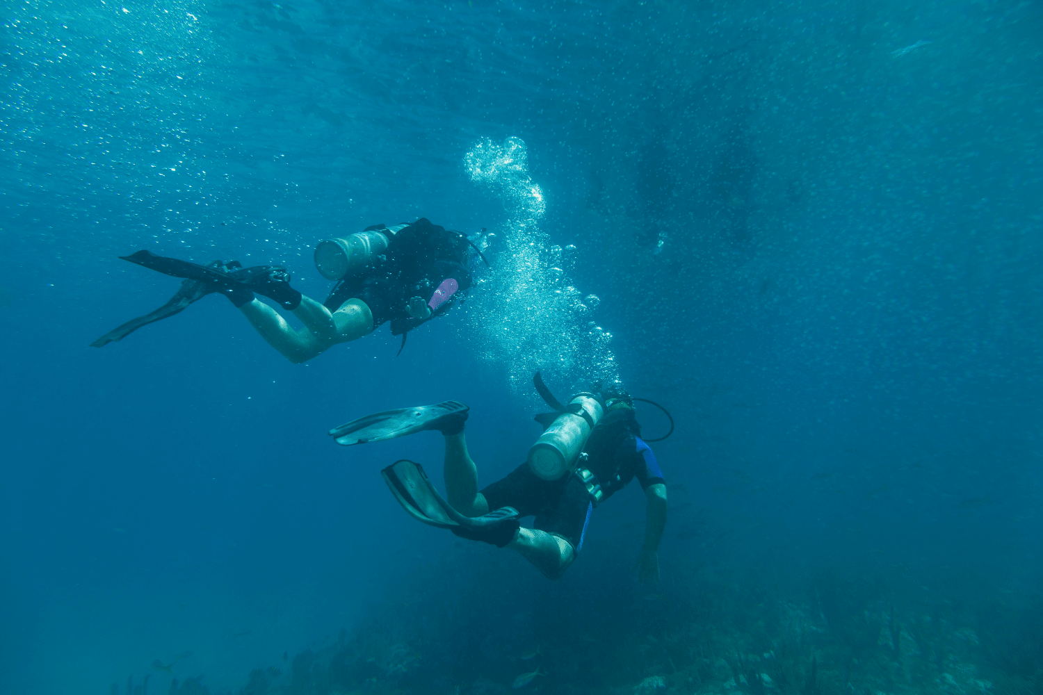 2026 Boston Whaler 280 Outrage Image Thumbnail #45