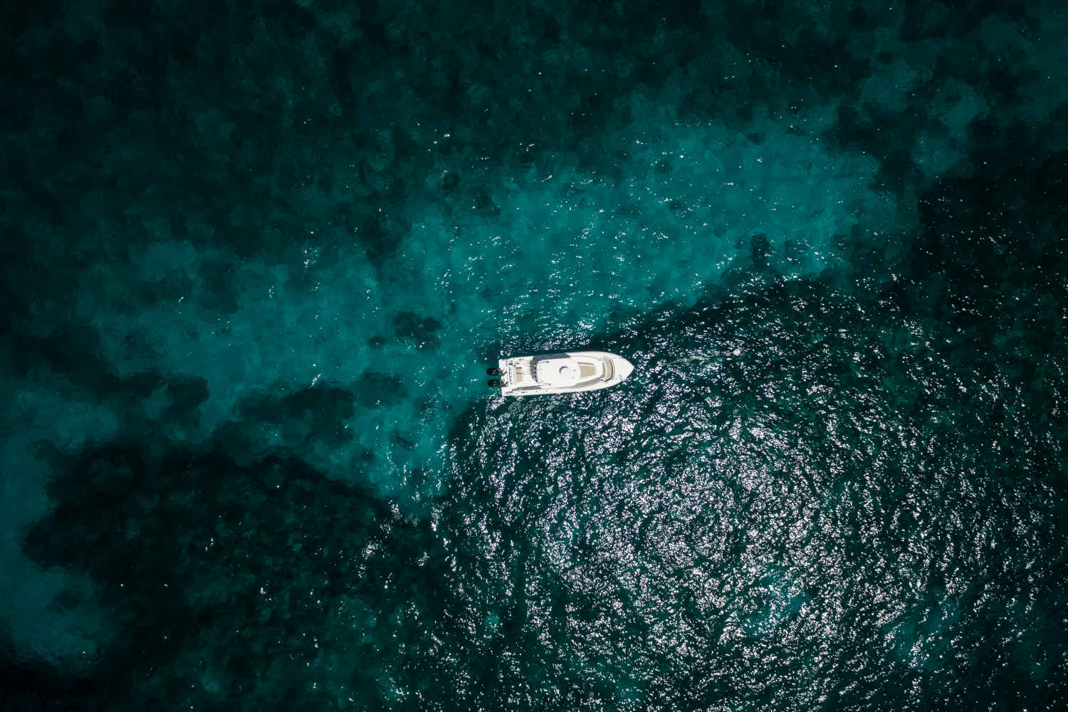 2026 Boston Whaler 280 Outrage Image Thumbnail #12