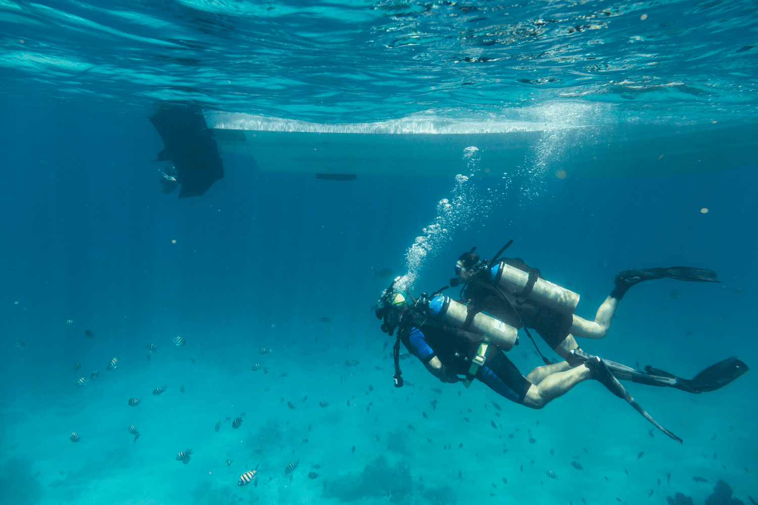 2026 Boston Whaler 280 Outrage Image Thumbnail #44