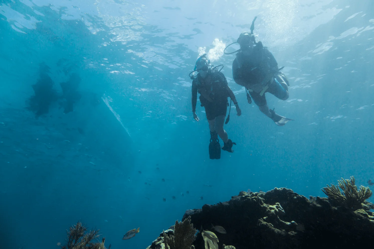 2026 Boston Whaler 280 Outrage Image Thumbnail #42