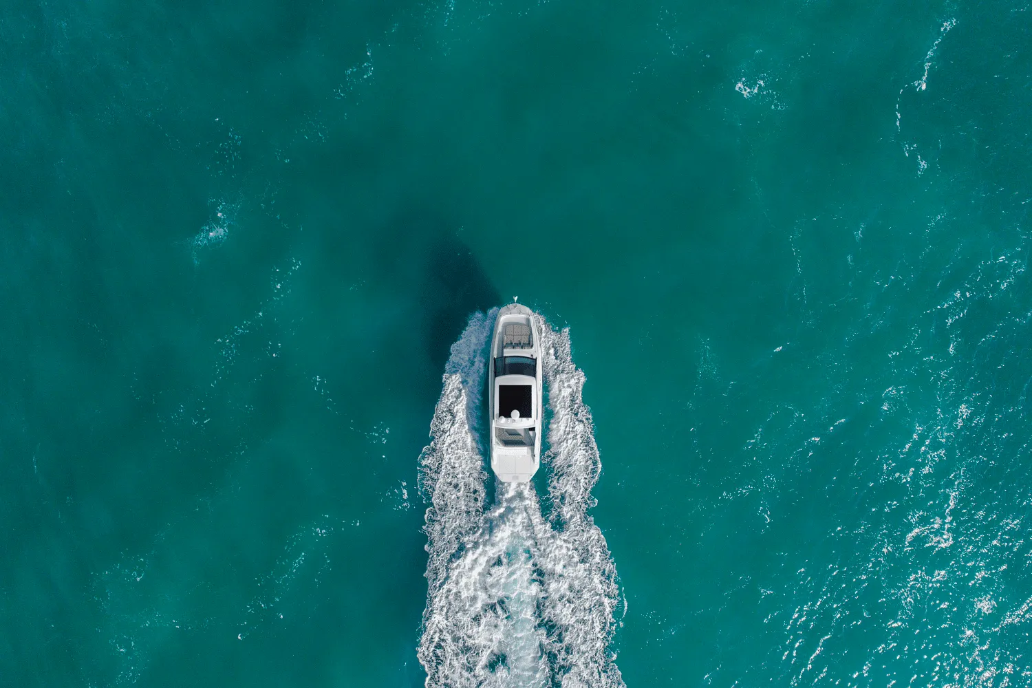 2025 Sea Ray Sundancer 320 Image Thumbnail #16
