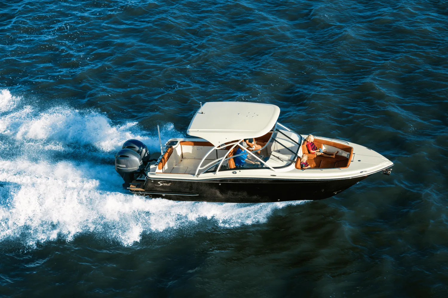 2025 Scout 255 Dorado Image Thumbnail #1