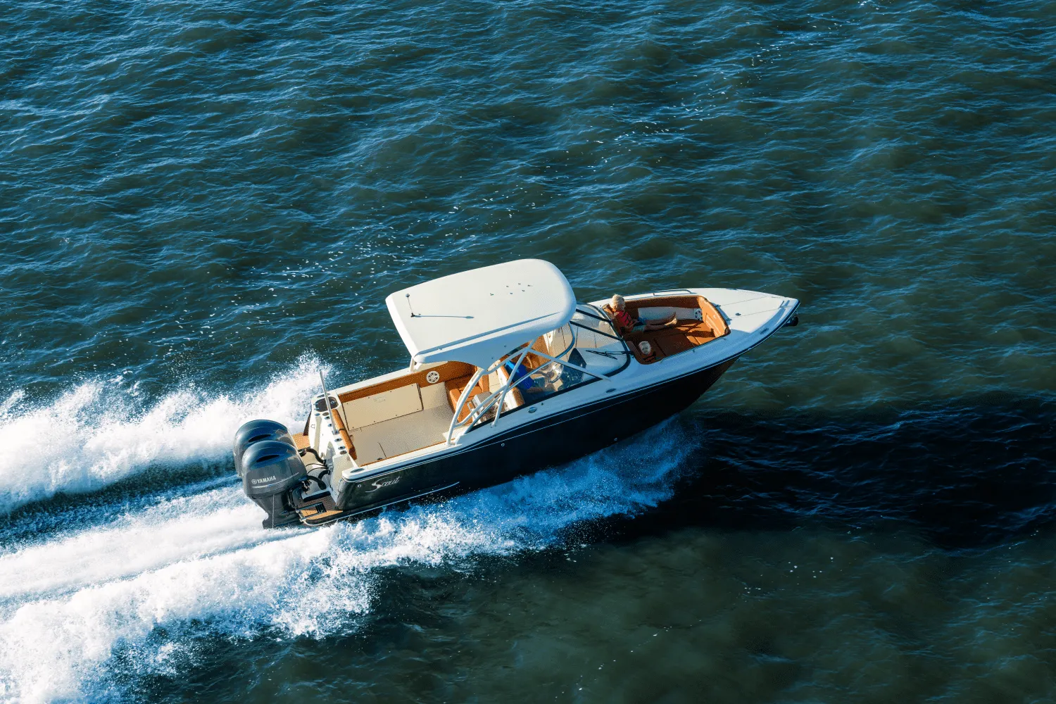 2025 Scout 255 Dorado Image Thumbnail #3