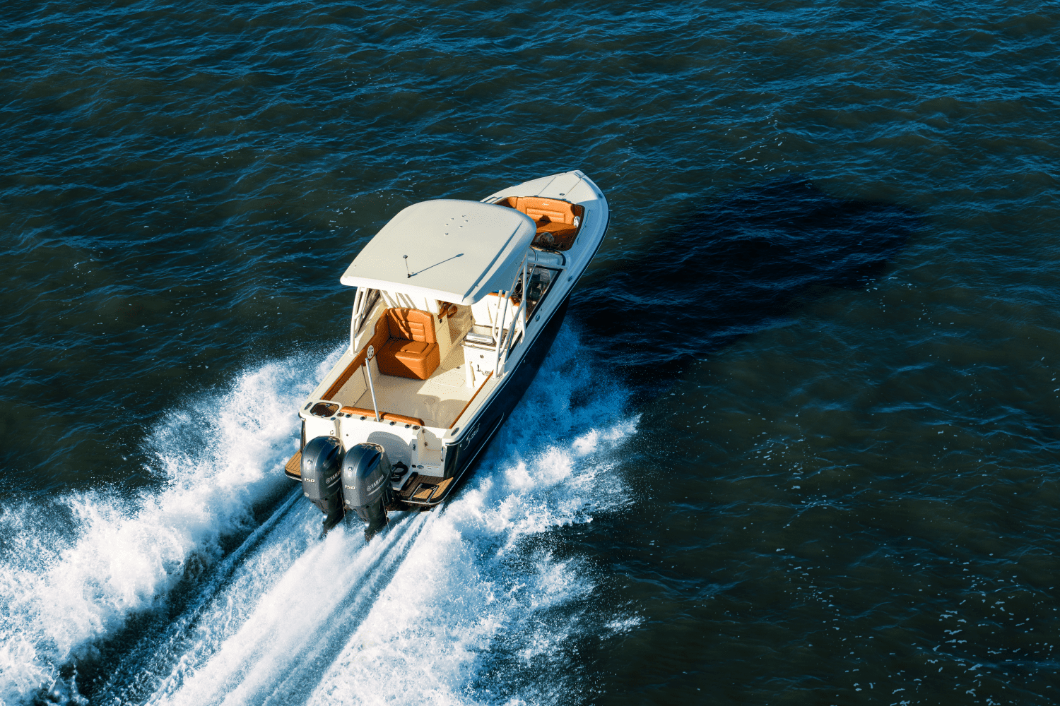 2025 Scout 255 Dorado Image Thumbnail #5