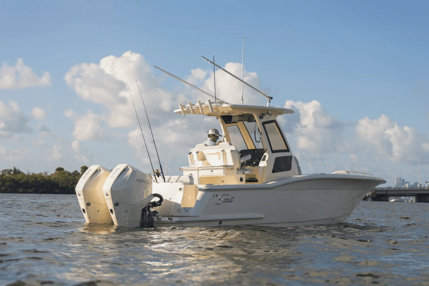 2025 Scout 260 LXF Image Thumbnail #10