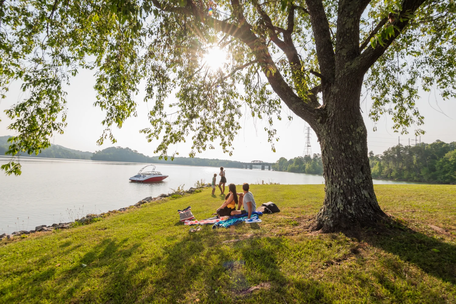 2026 Yamaha AR190 Image Thumbnail #10