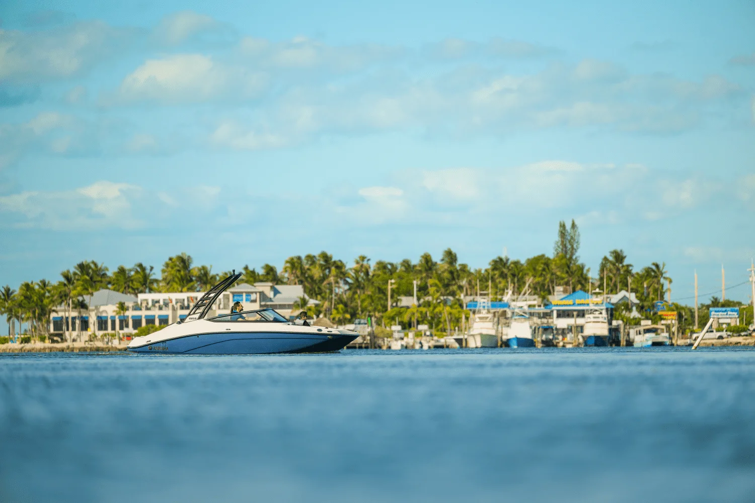 2025 Yamaha 195S Image Thumbnail #15