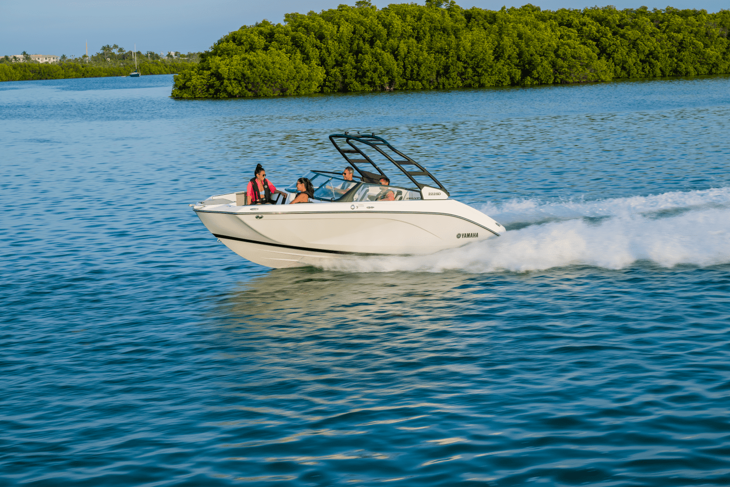 2026 Yamaha 222SD Image Thumbnail #5