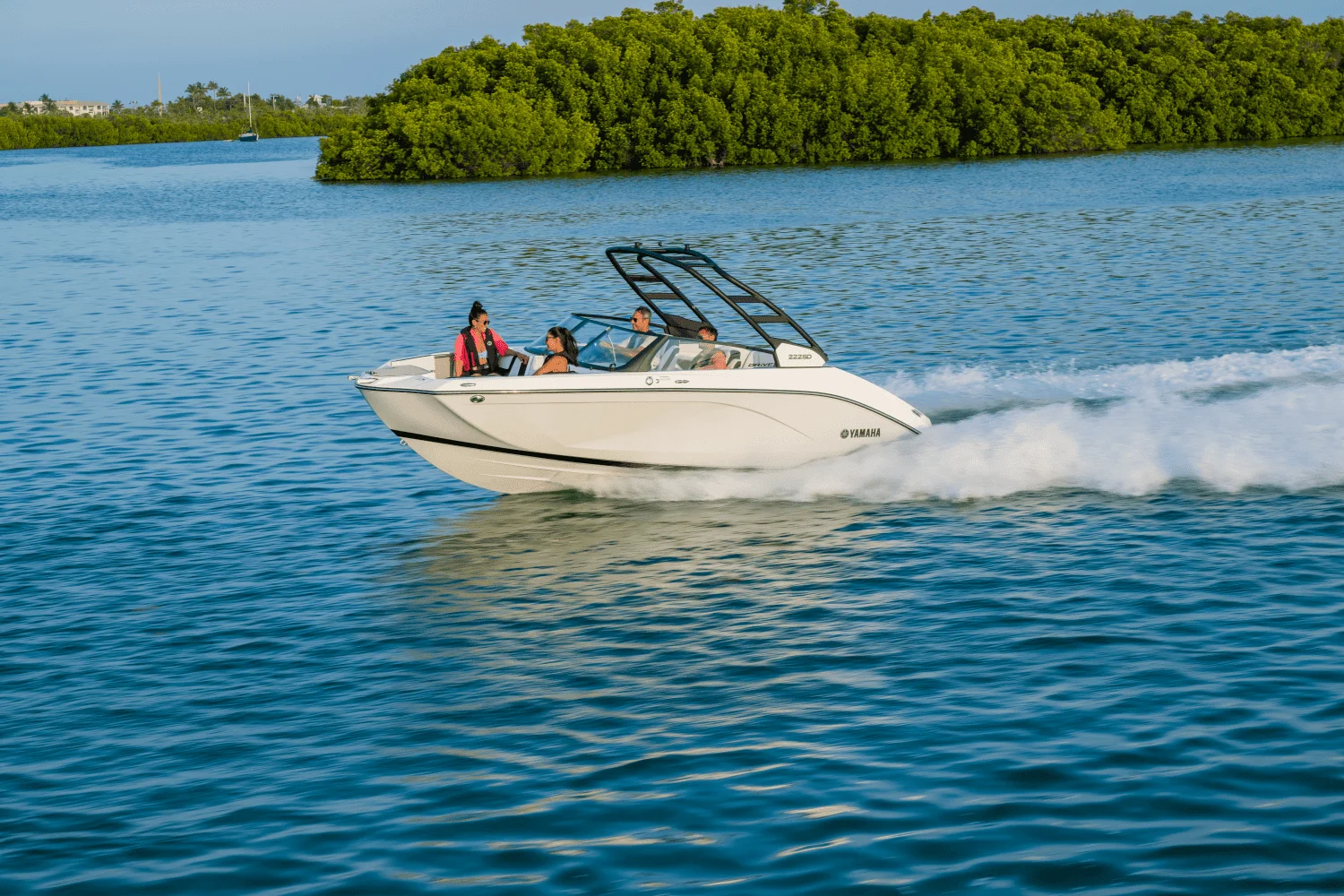 2026 Yamaha 222SD Image Thumbnail #5