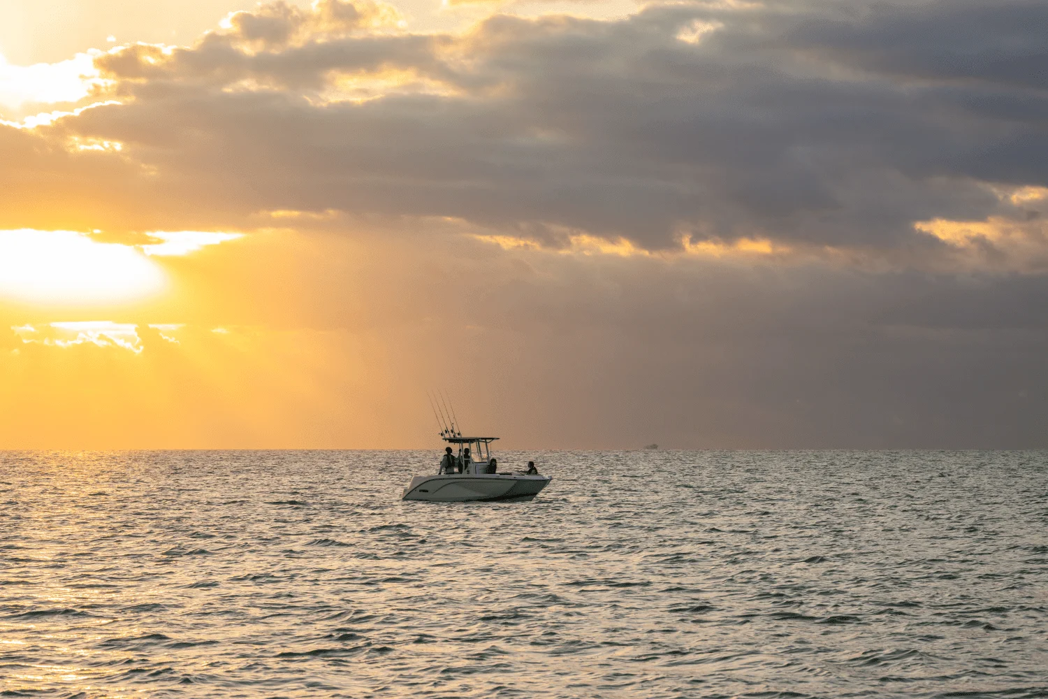 2026 Yamaha 220 FSH Sport Image Thumbnail #12