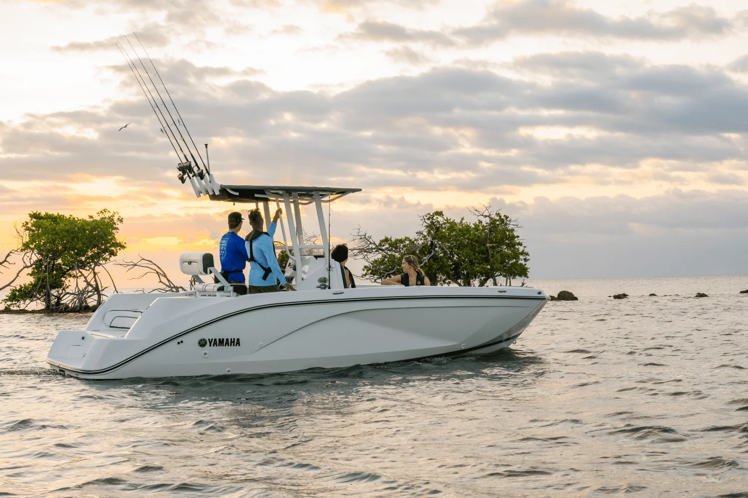 2026 Yamaha 220 FSH Sport Image Thumbnail #8