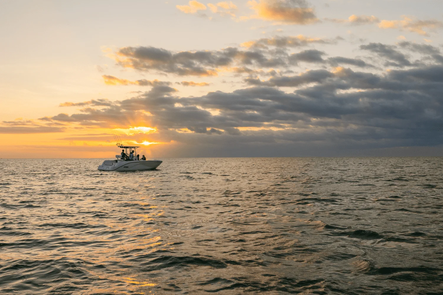 2026 Yamaha 220 FSH Sport Image Thumbnail #10