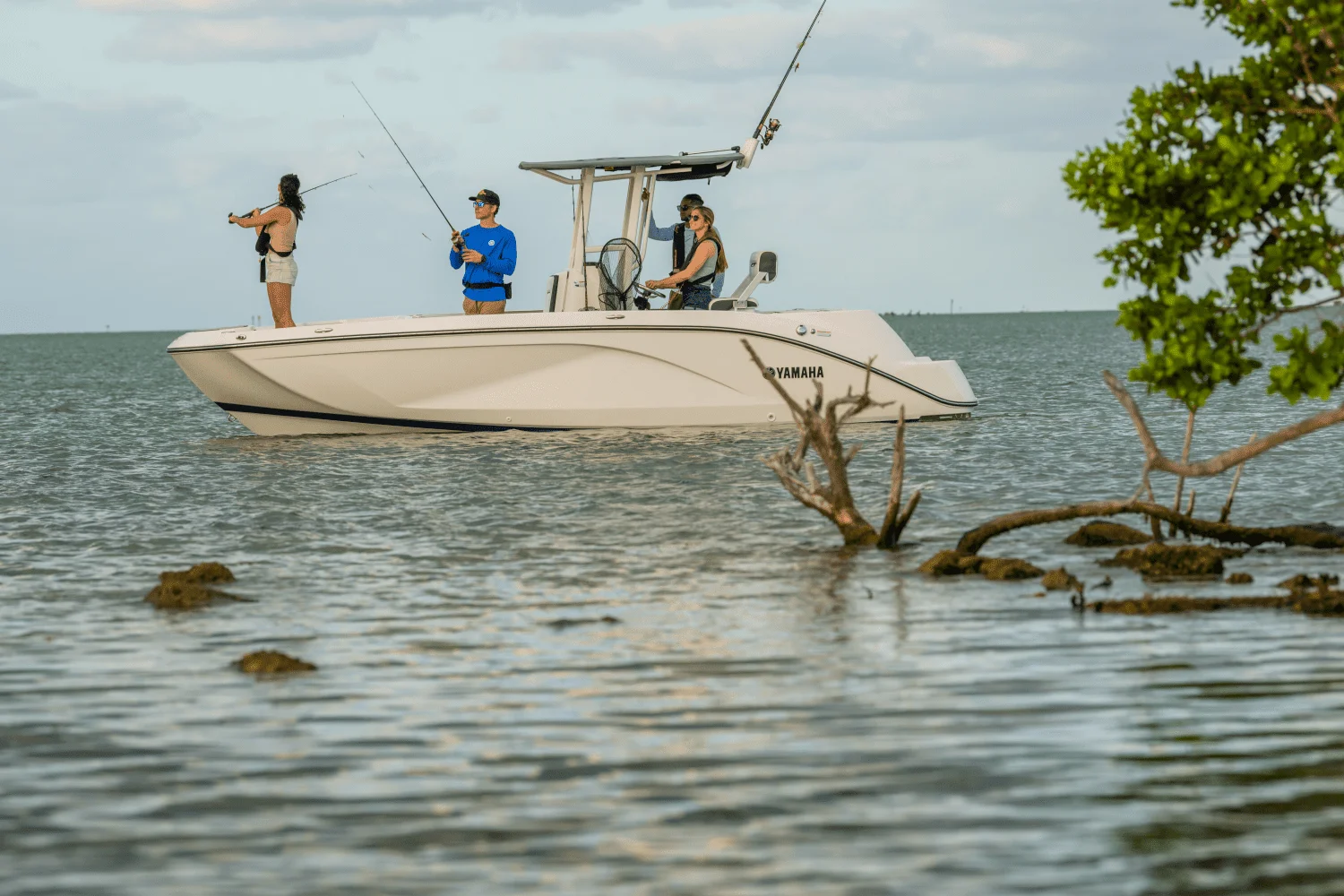 2026 Yamaha 220 FSH Sport Image Thumbnail #16