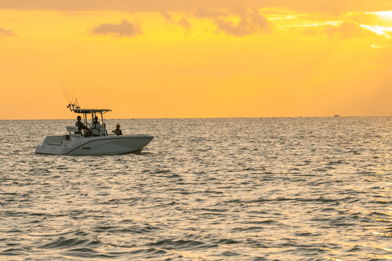 2026 Yamaha 220 FSH Sport Image Thumbnail #11