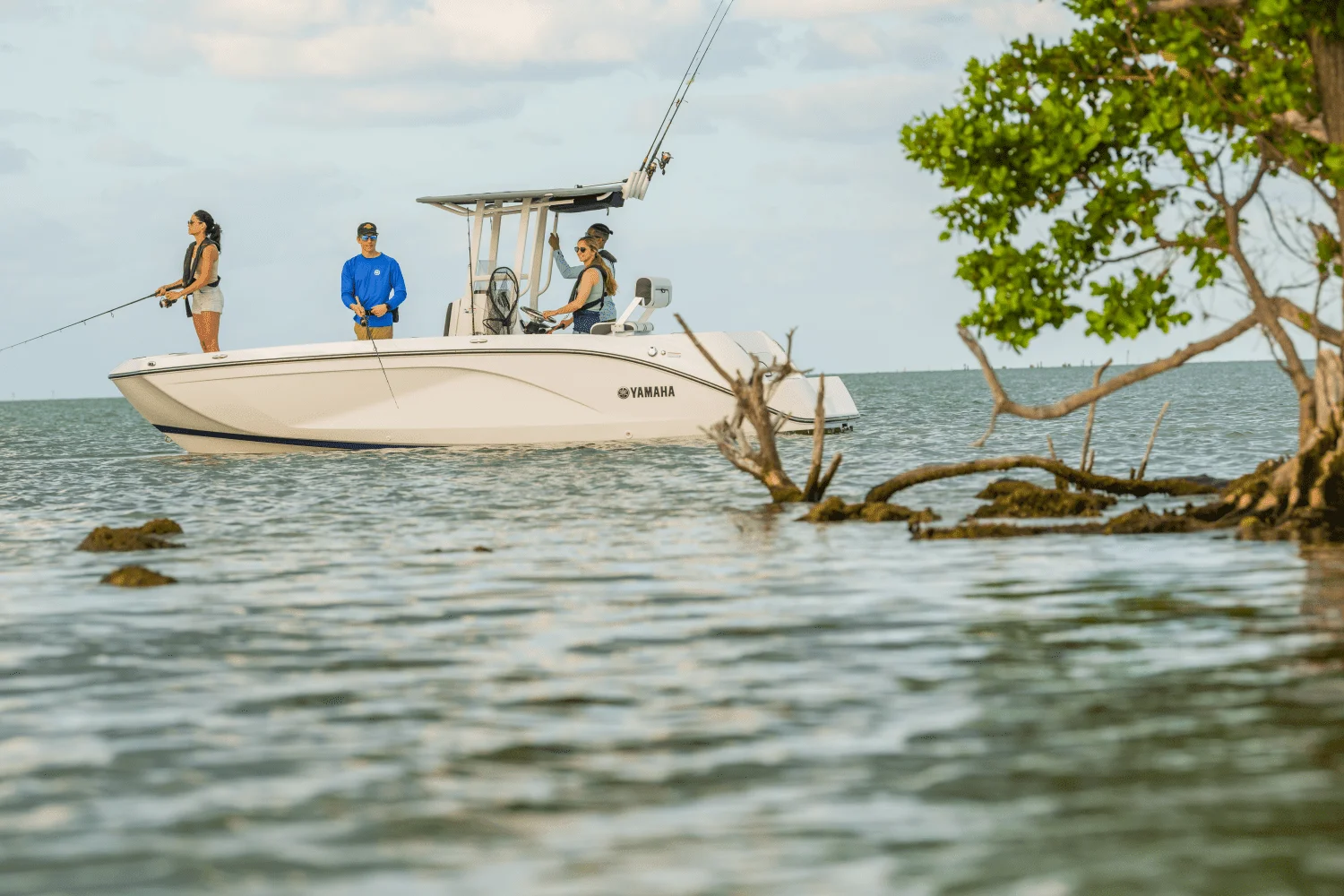 2026 Yamaha 220 FSH Sport Image Thumbnail #17