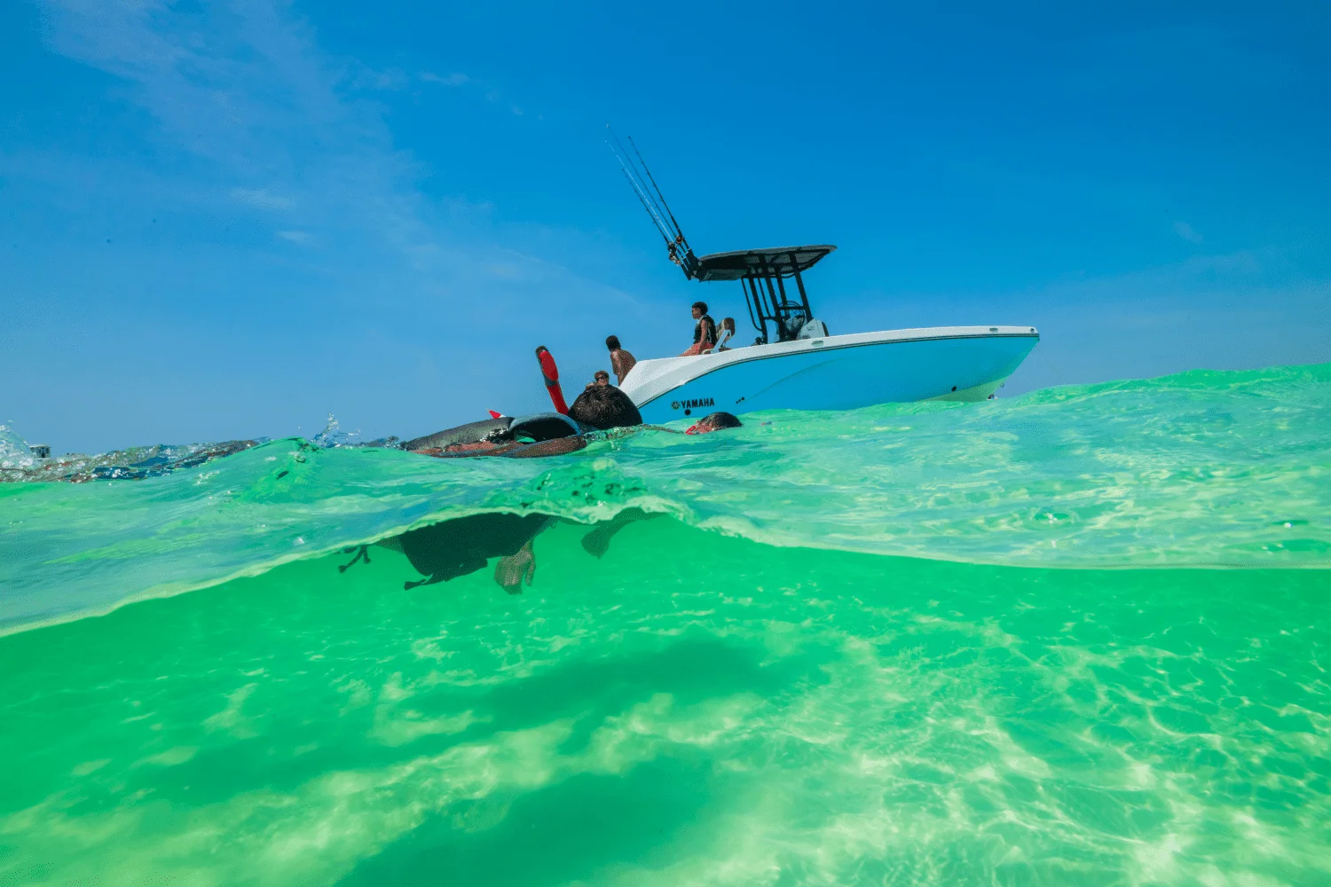 2026 Yamaha 222 FSH Sport Image Thumbnail #19