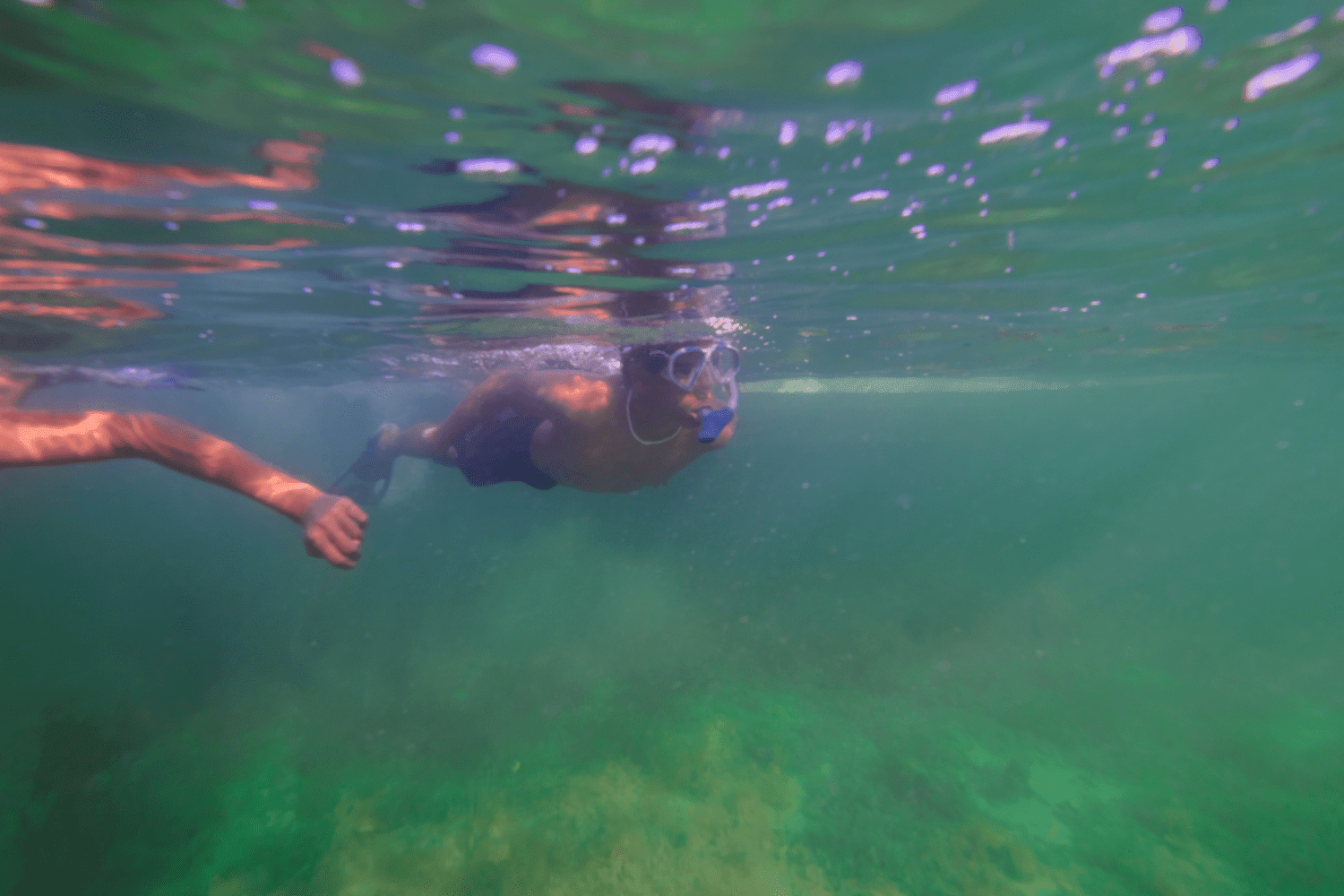 2026 Yamaha 252 FSH Sport Image Thumbnail #23