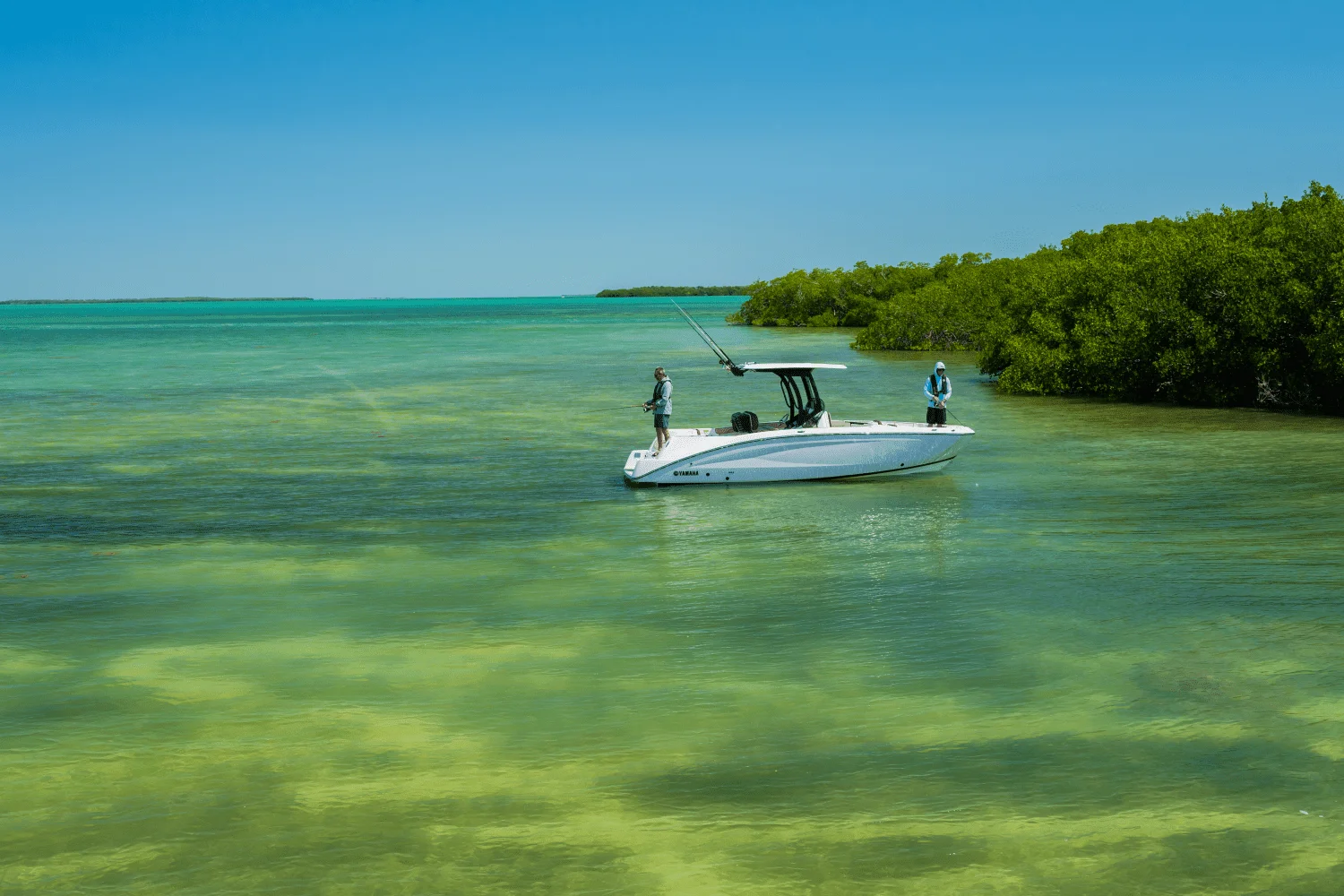 2025 Yamaha 255 FSH Sport H Image Thumbnail #51