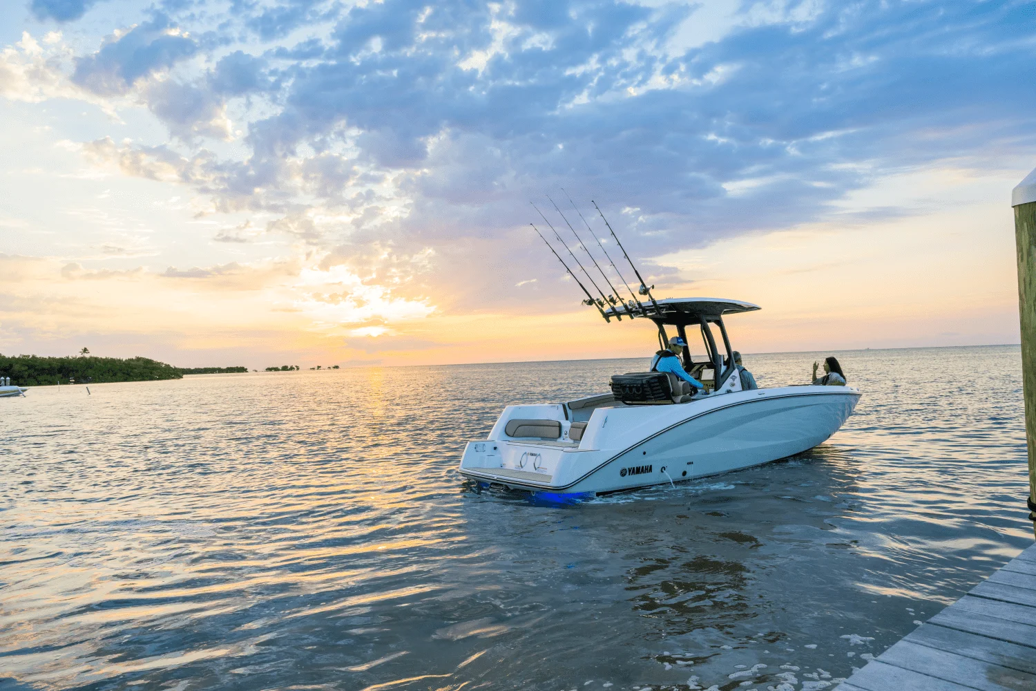 2025 Yamaha 255 FSH Sport H Image Thumbnail #40