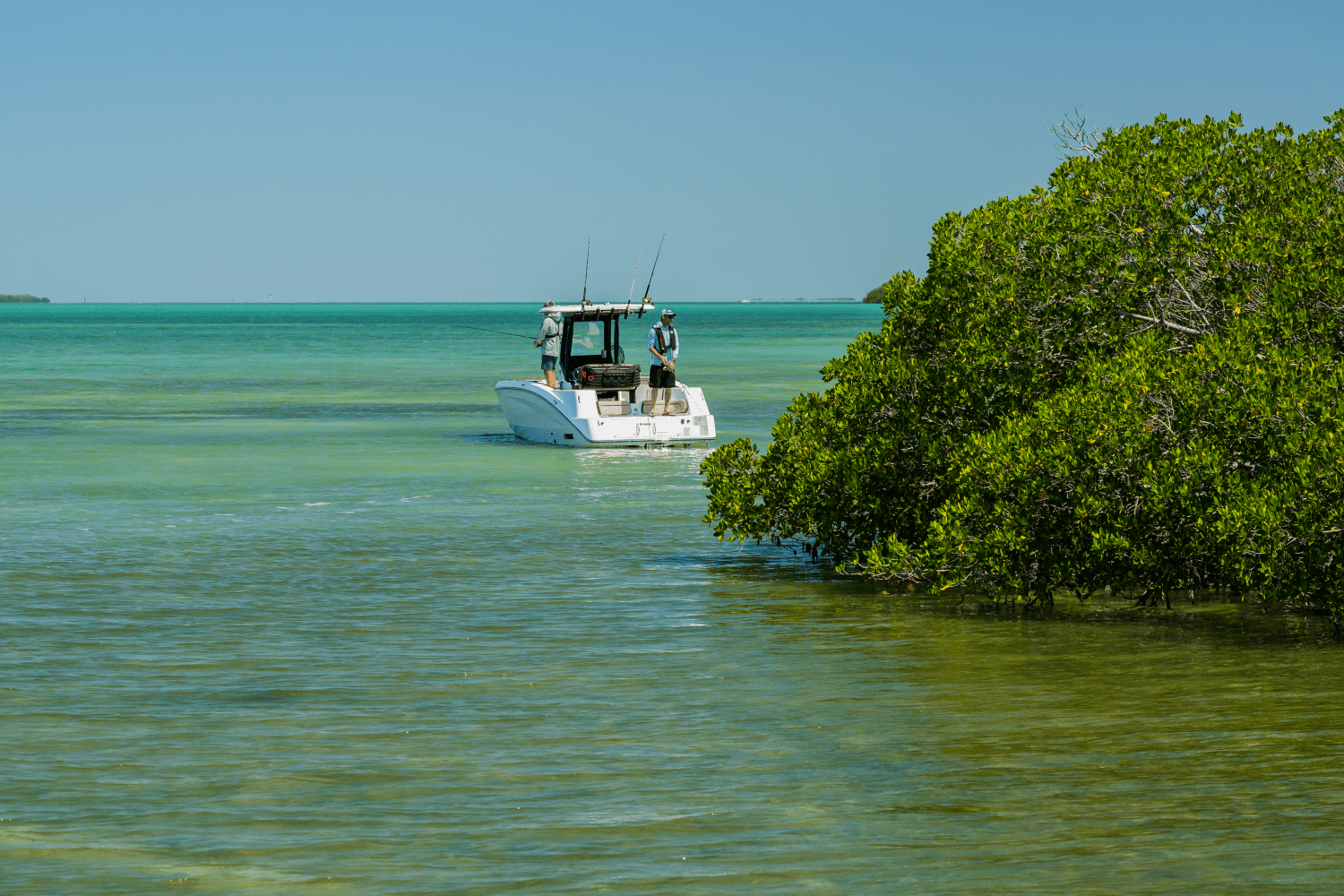 2025 Yamaha 255 FSH Sport H Image Thumbnail #50