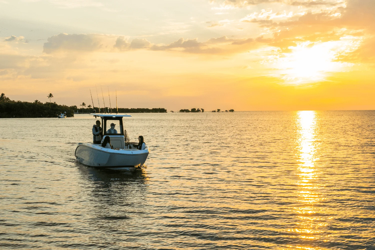 2025 Yamaha 255 FSH Sport H Image Thumbnail #43