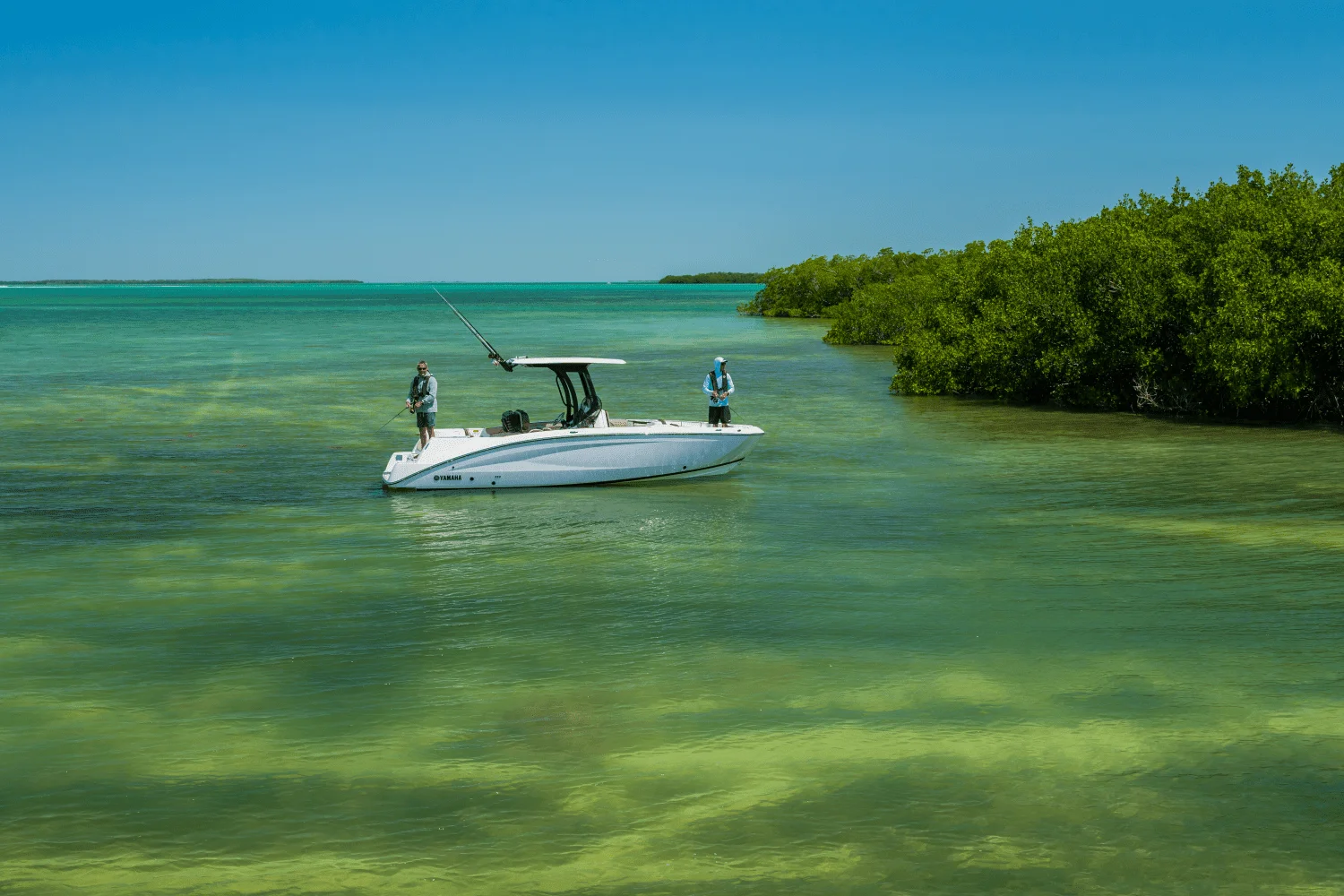 2025 Yamaha 255 FSH Sport H Image Thumbnail #52