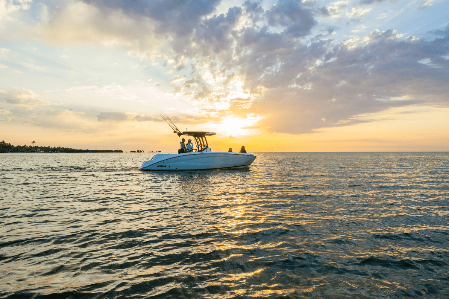 2025 Yamaha 255 FSH Sport H Image Thumbnail #44