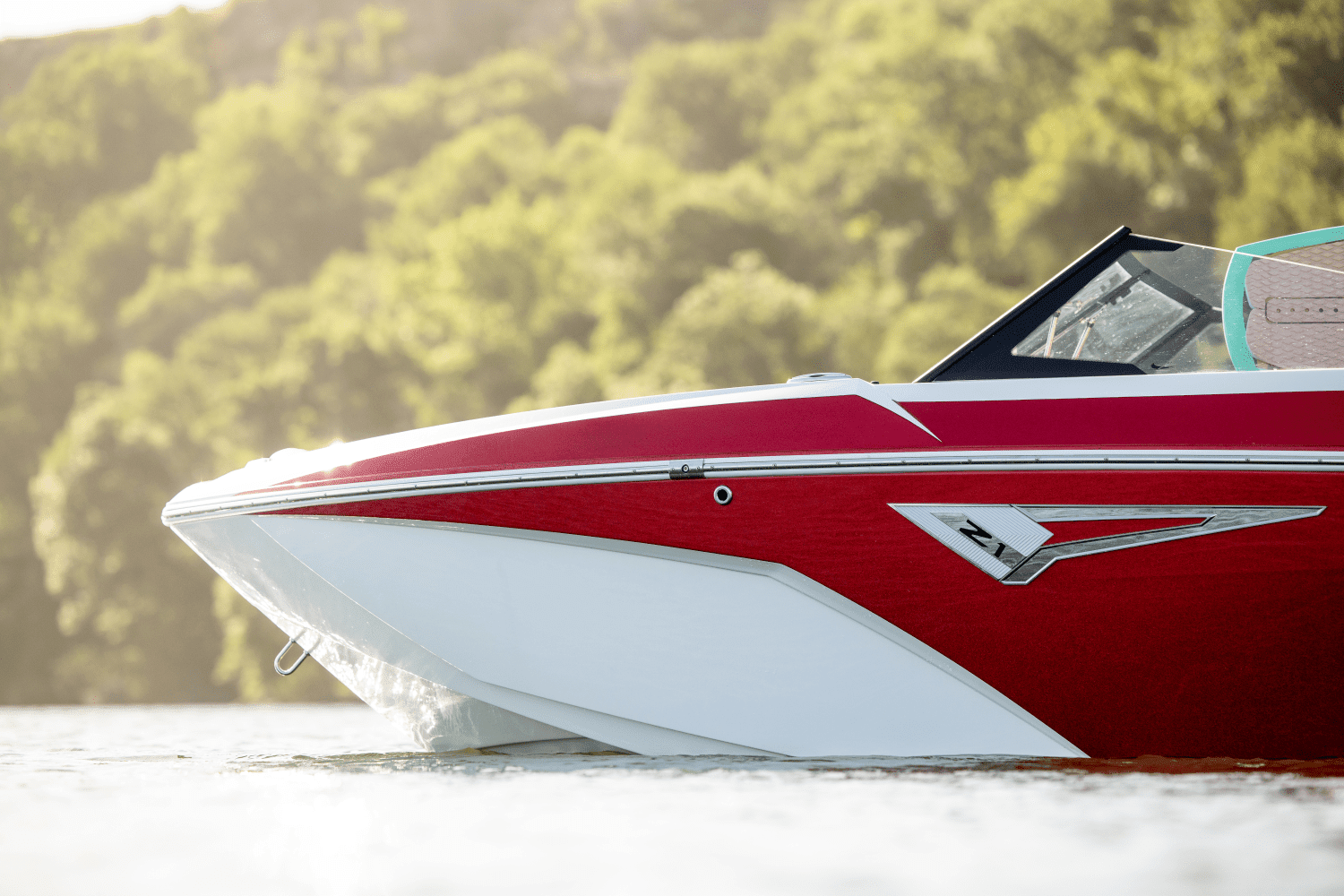 2025 Tige Z1 Image Thumbnail #5