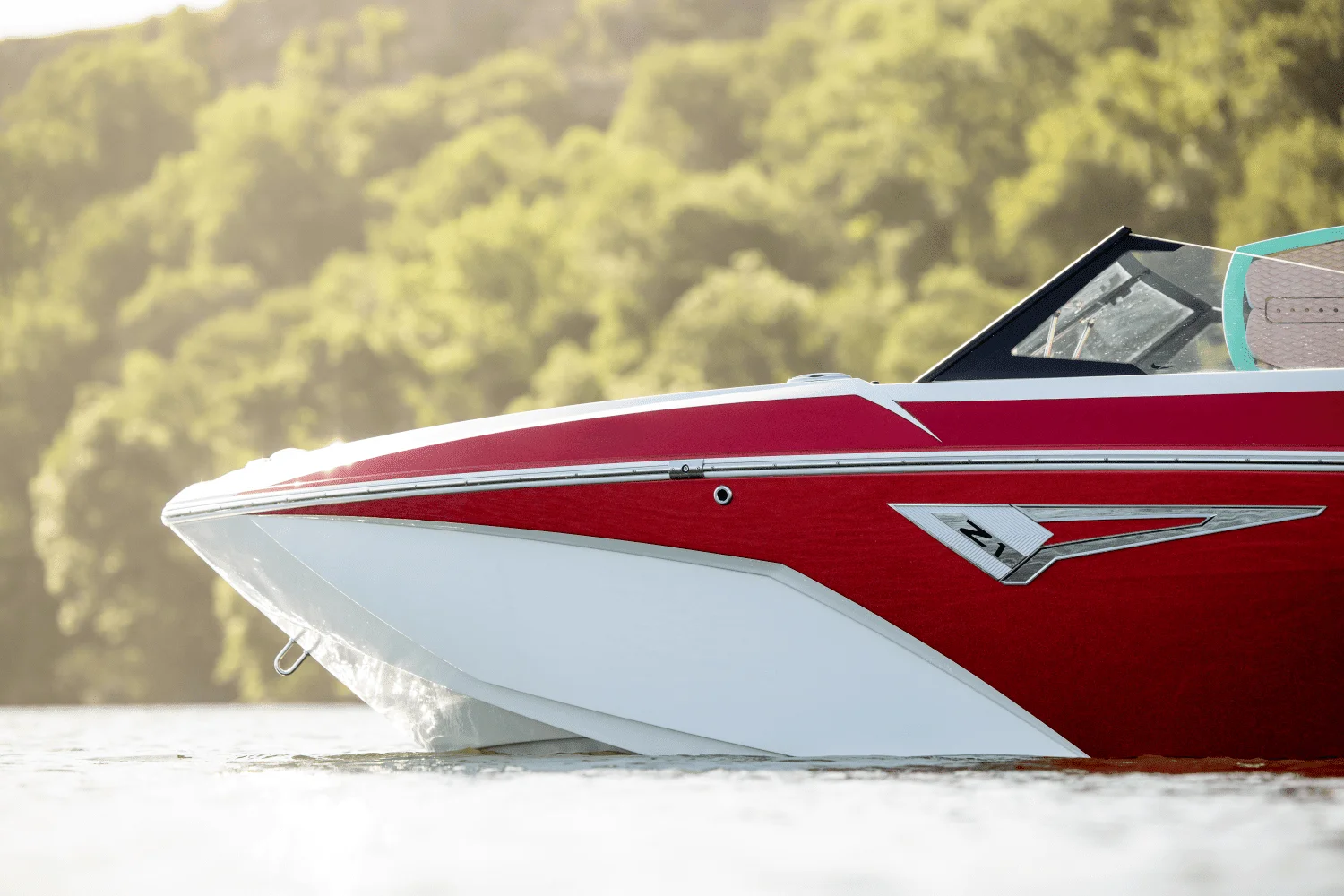 2025 Tige Z1 Image Thumbnail #5