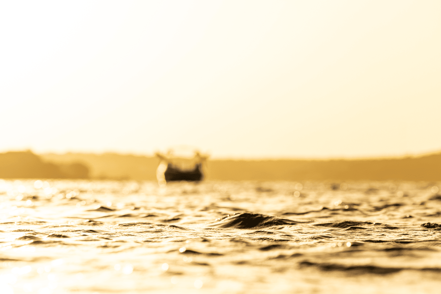 2025 Tige Z1 Image Thumbnail #14