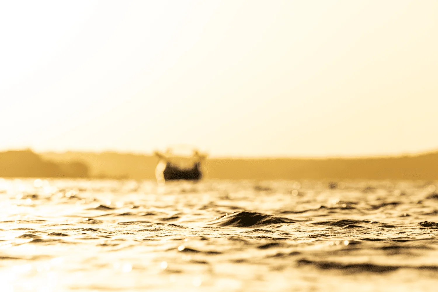 2025 Tige Z1 Image Thumbnail #14