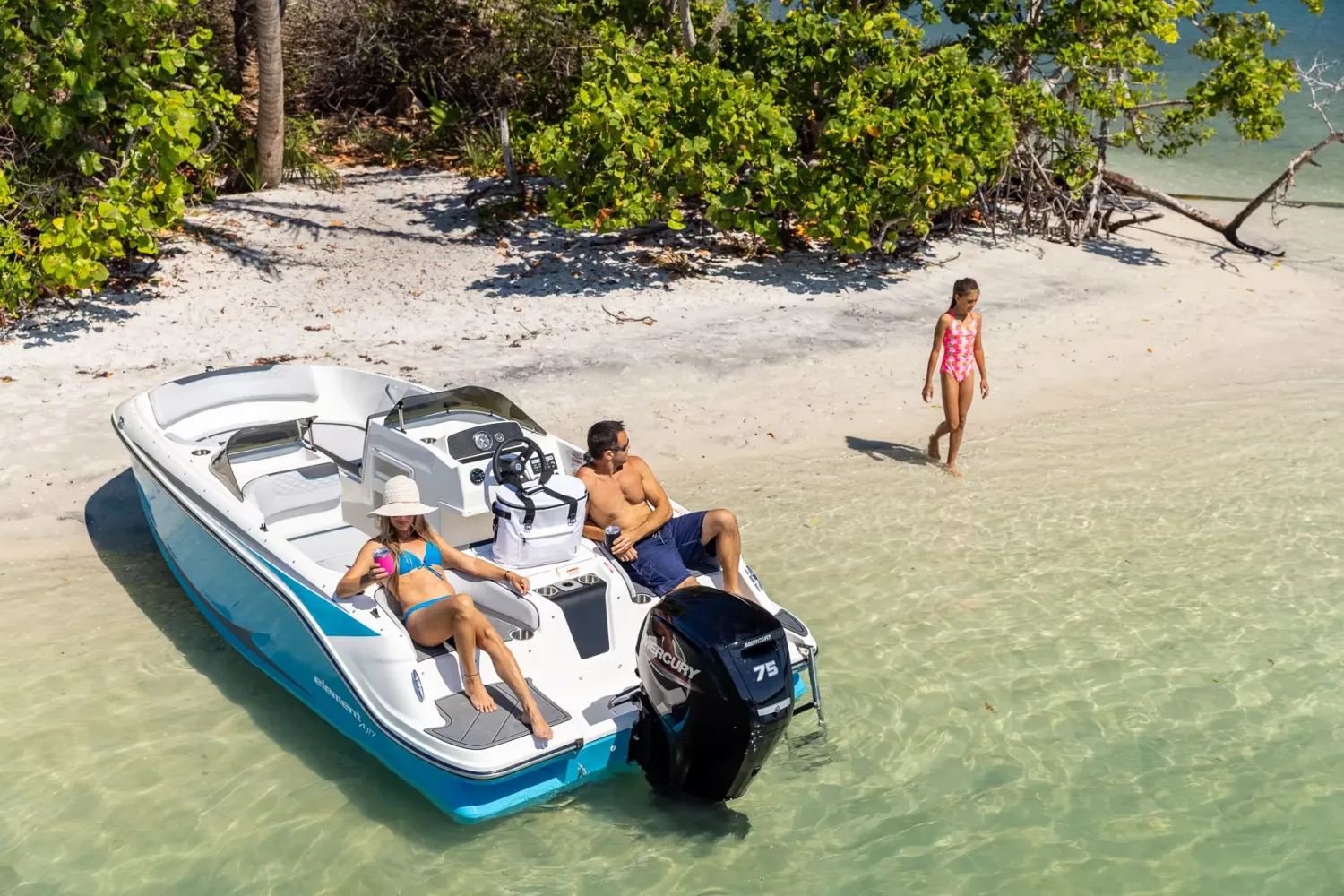 2025 Bayliner M17 Image Thumbnail #4