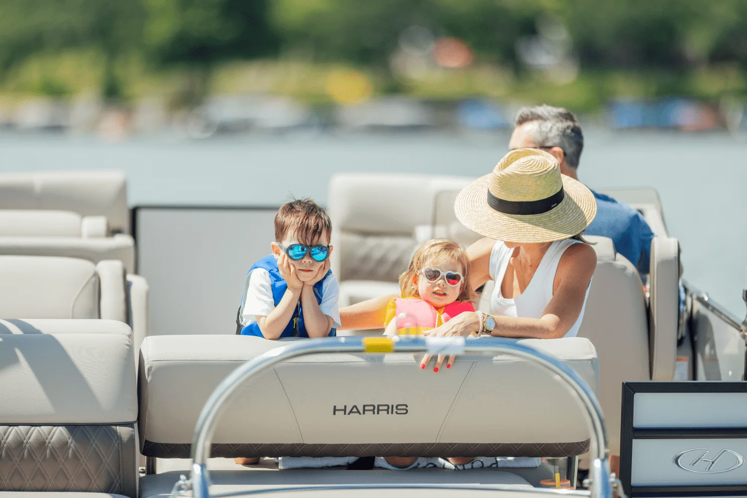 2026 Harris Sunliner 210 Image Thumbnail #14