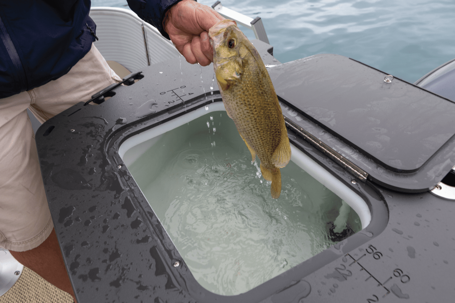 2026 Bennington S Series Image Thumbnail #8