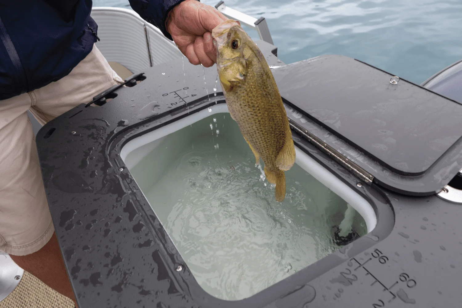 2026 Bennington S Series Image Thumbnail #8