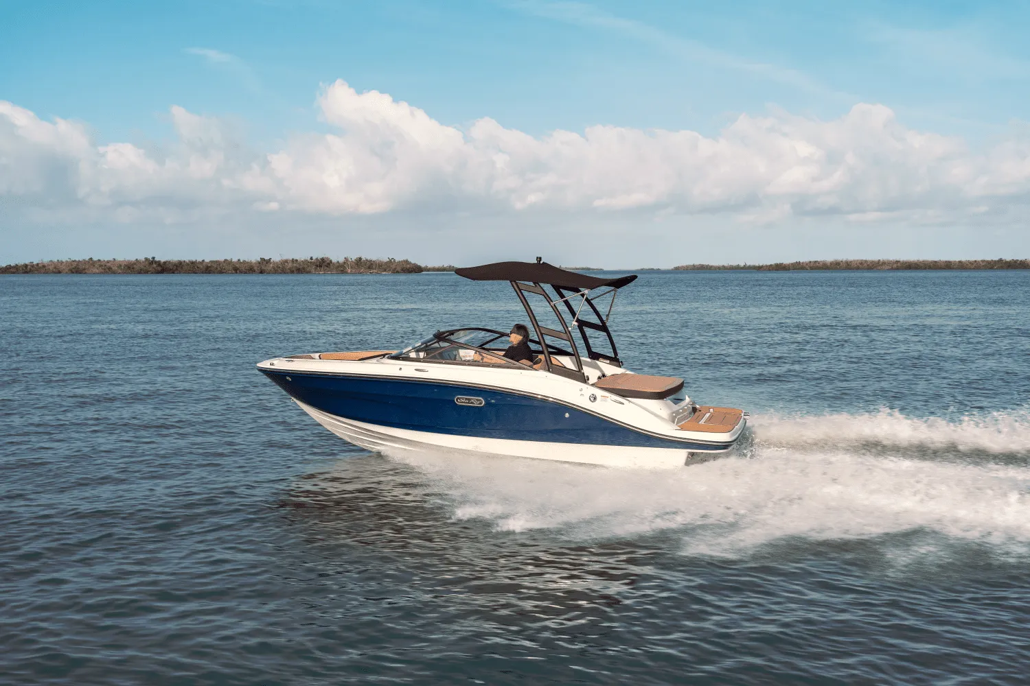 2025 Sea Ray SPX 190 Image Thumbnail #0
