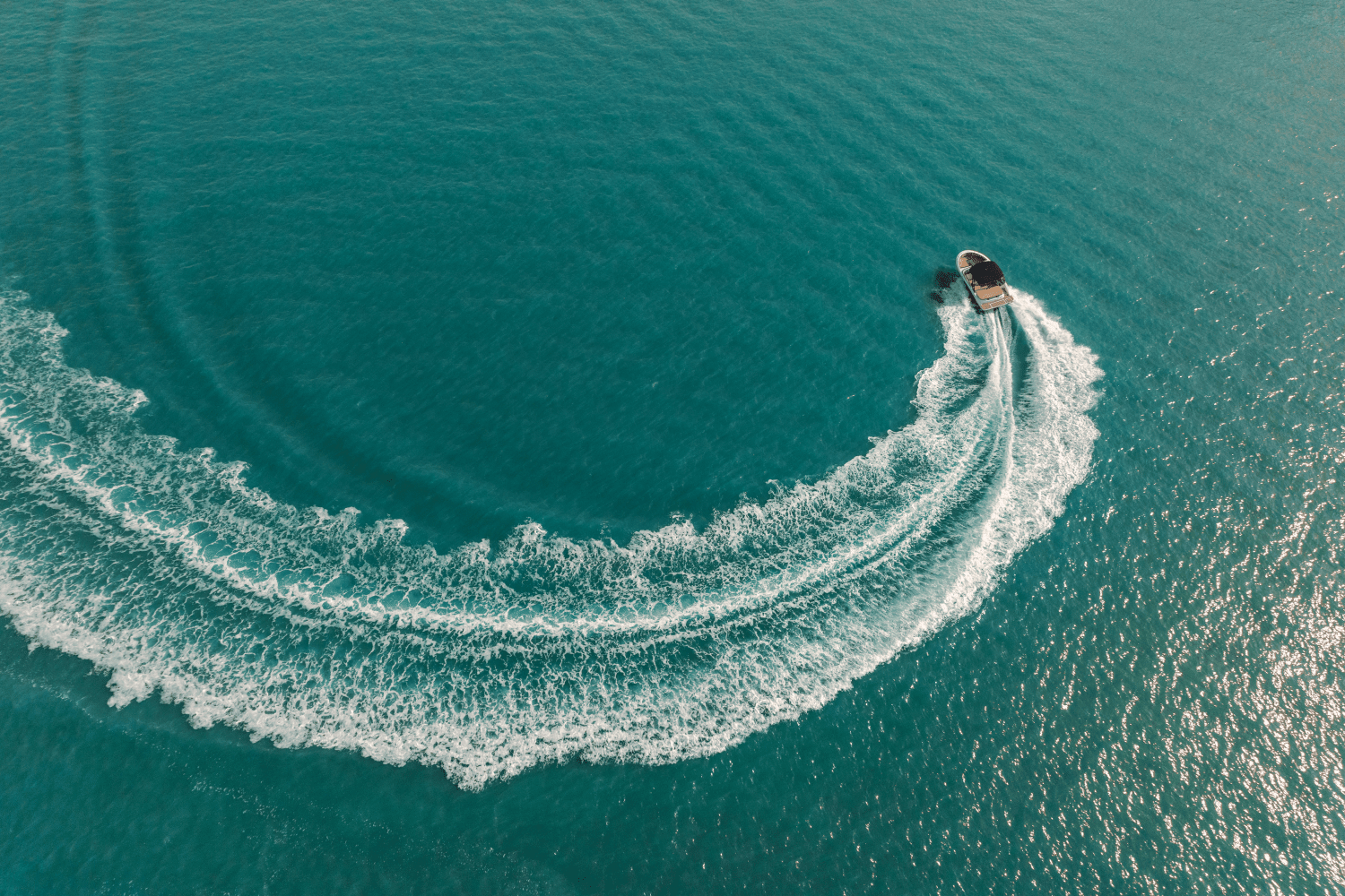 2026 Sea Ray SPX 190 Image Thumbnail #6