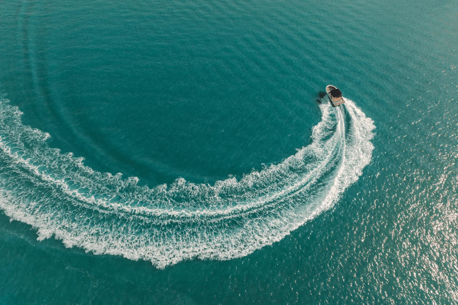 2026 Sea Ray SPX 190 Image Thumbnail #6