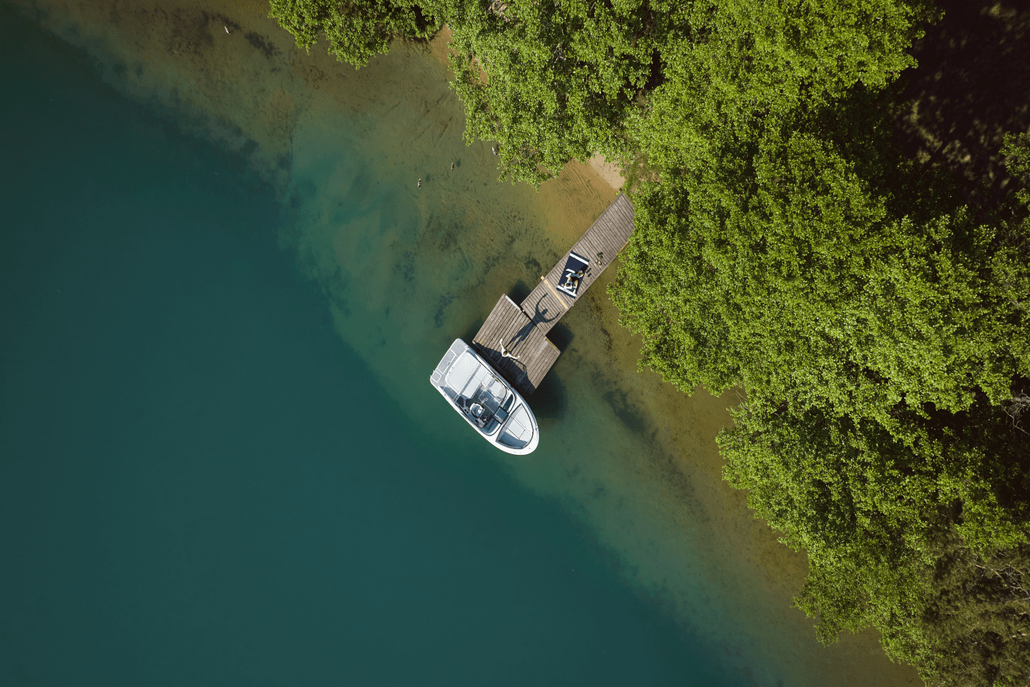 2026 Sea Ray SPX 190 Image Thumbnail #46